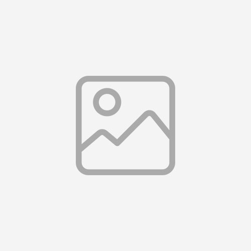 Slot.it - Reggio Emilia - Monoposto 2024 body kit - PCS10b
